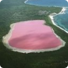 Где расположено озеро, вода в котором по невыясненной причине розового цвета?