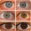 Почему человеческие глаза бывают голубыми и зелёными, хотя в них не бывает пигментов таких цветов?